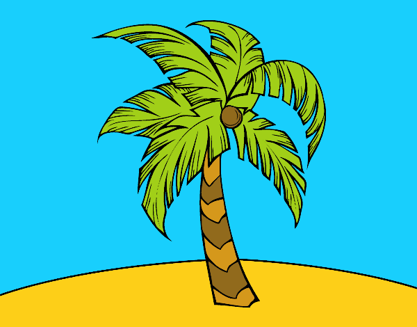 Una palmera