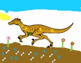 Velociraptor