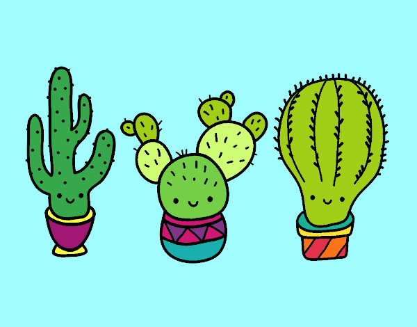 CACTUSSS