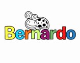 Bernardo