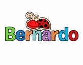 Bernardo