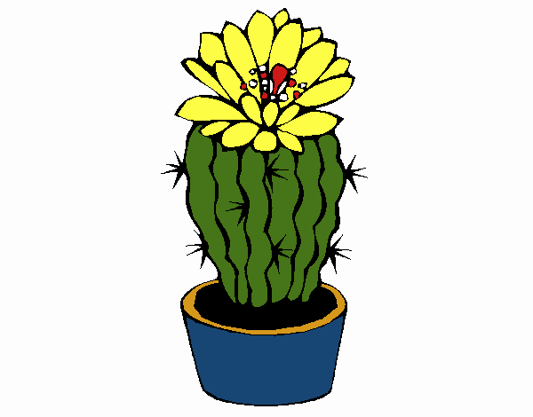 Cactus con flor