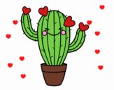 Cactus corazón