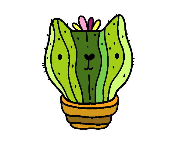 Cactus gato