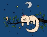 El gato y la luna