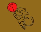 Gato jugando a baloncesto