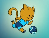 Gato jugando a fútbol