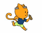 Gato runner