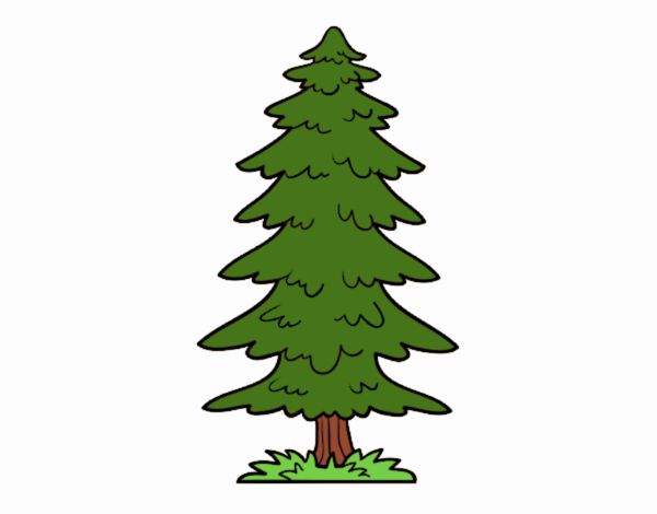 Árbol