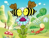 Pareja de abejas