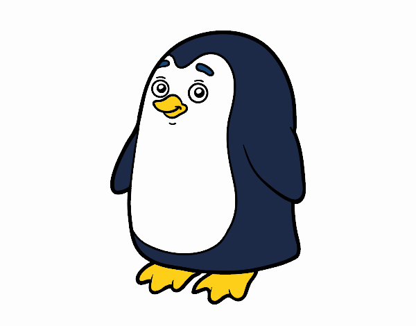 pingui