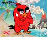 Red de Angry Birds