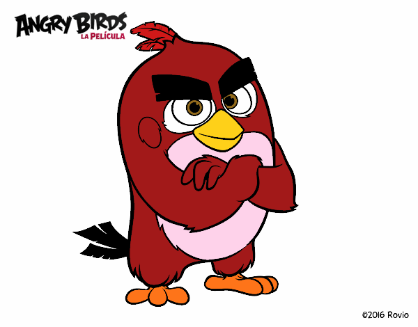 Red de Angry Birds