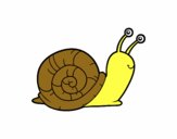 Un caracol