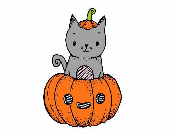 EL GATITO EN LA CALABAZA