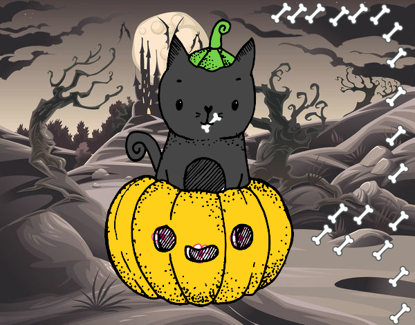 Un gatito de Halloween