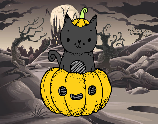 gatito de halloween