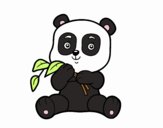 Un oso panda