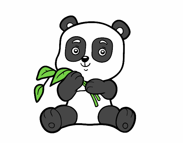 OSITO PANDITA