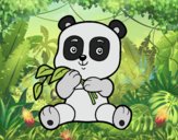 Un oso panda