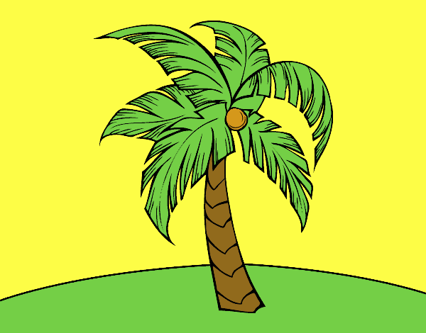 la palmera