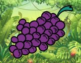 Uvas moradas