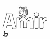 Amir