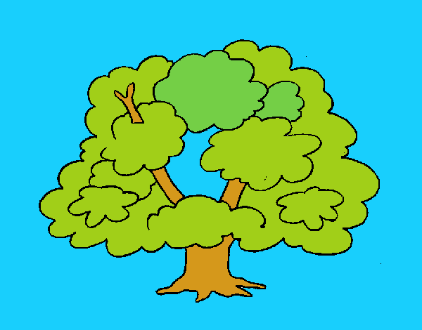 Árbol