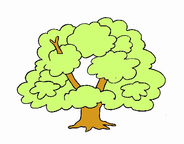 Árbol