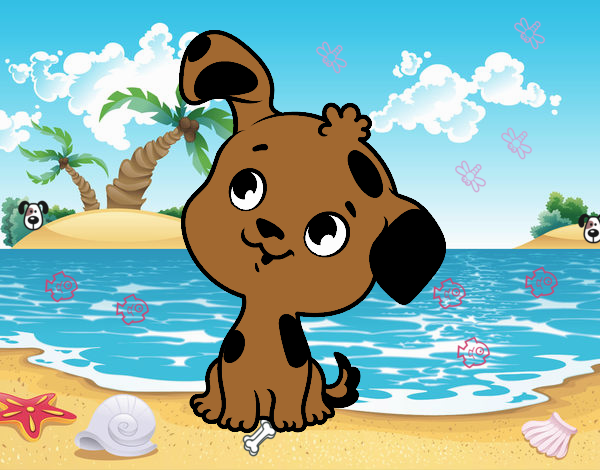 perrito en la playa :3