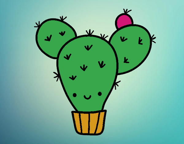 Cactus nopal