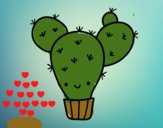 Cactus nopal