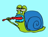 Caracol limpio