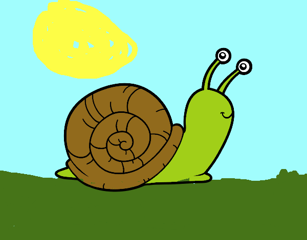 El caracol