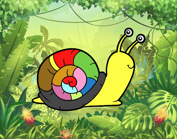 caracol de arcoiris