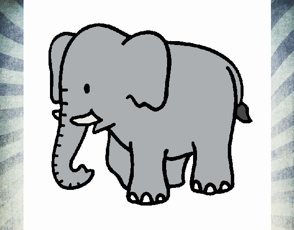 Dibujo de Elefante bebe pintado por en  el día 02-06-20 a las  01:06:16. Imprime, pinta o colorea tus propios dibujos!
