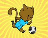 Gato jugando a fútbol