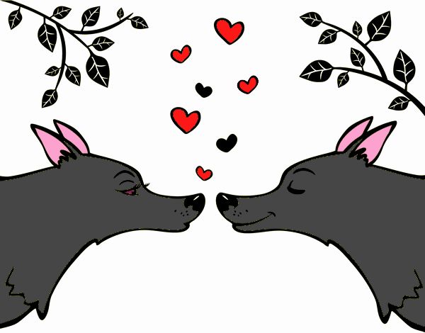 Lobos enamorados