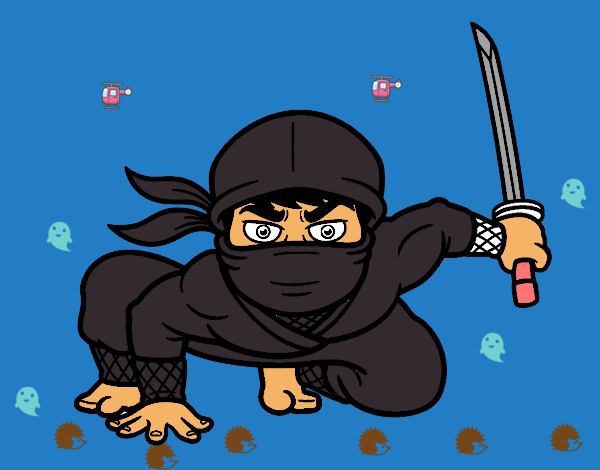 Ninja japonés