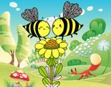 Pareja de abejas