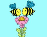 Pareja de abejas