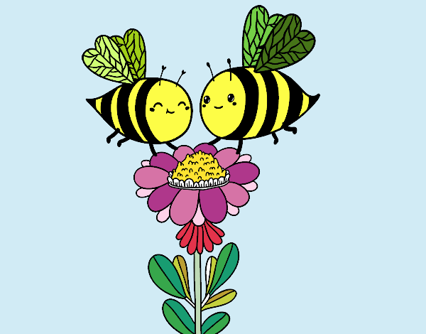 Pareja de abejas