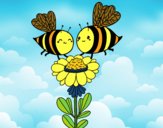 Pareja de abejas