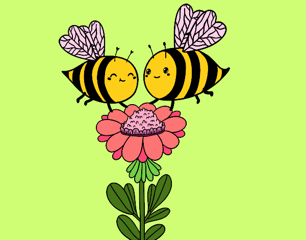 Pareja de abejas