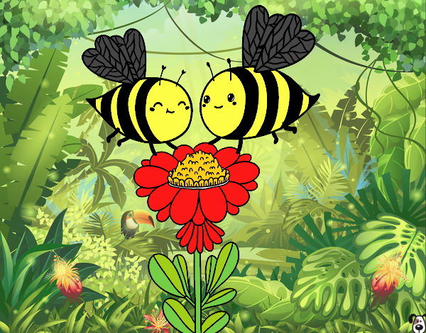 Pareja de abejas