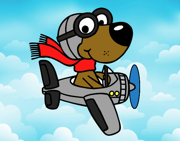 Perro piloto