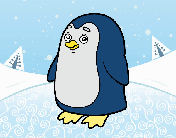 pingui