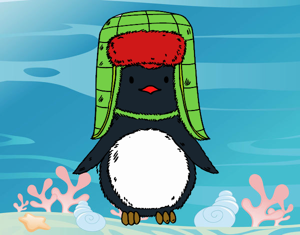 Pingüino con gorro