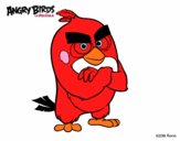 Red de Angry Birds