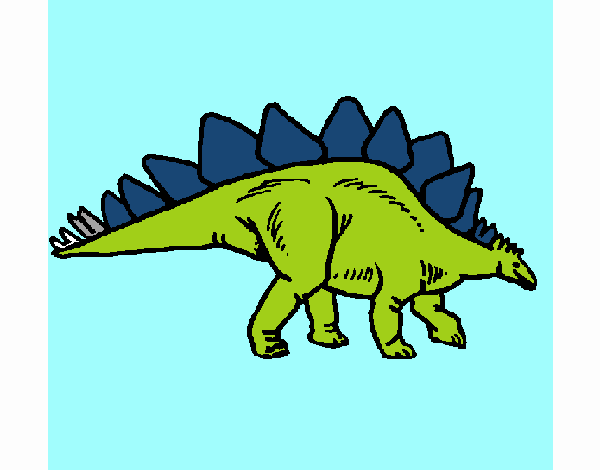 Stegosaurus 